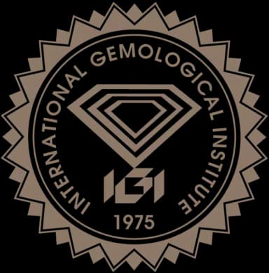 IGI logo